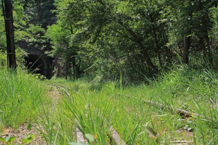 「夏草に 機関車の音 覆われる」　（足尾鉄道廃線の跡）
